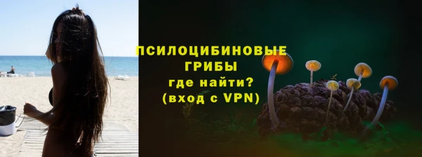 мдпв Новосибирск