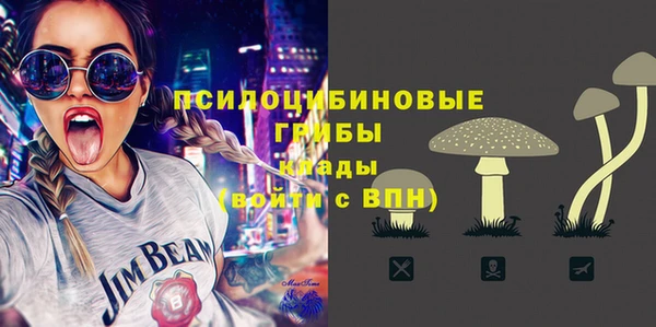 мдпв Новосибирск