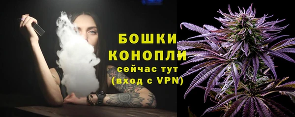 мдпв Новосибирск