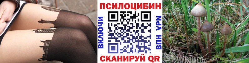 Псилоцибиновые грибы GOLDEN TEACHER  Алейск 
