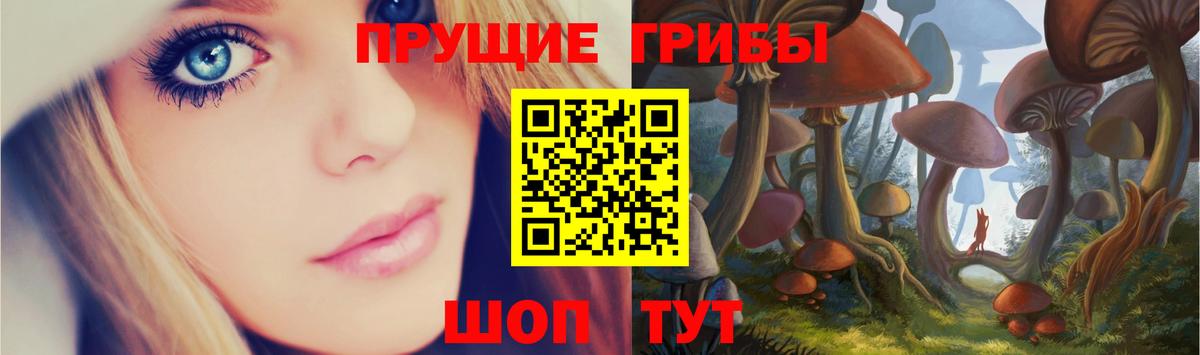 Алейск  Псилоцибиновые грибы Psilocybine cubensis  Вход с VPN 