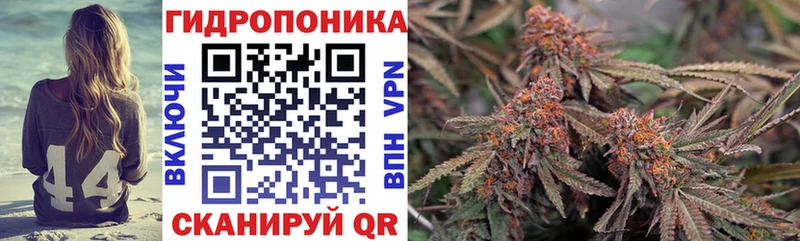 как найти закладки Алейск Канабис White Widow